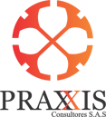 Logo Praxxis